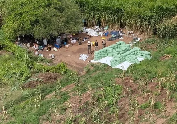 Operação da PF apreende 2 toneladas de maconha na divisa de Alagoas e Bahia