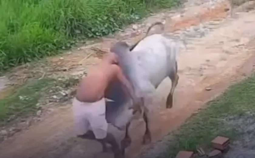 Idoso fica ferido após ser atingido por boi solto em rua de Paudalho