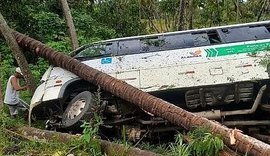 Van tomba em barranco após tentar desviar de bugre no Litoral Norte