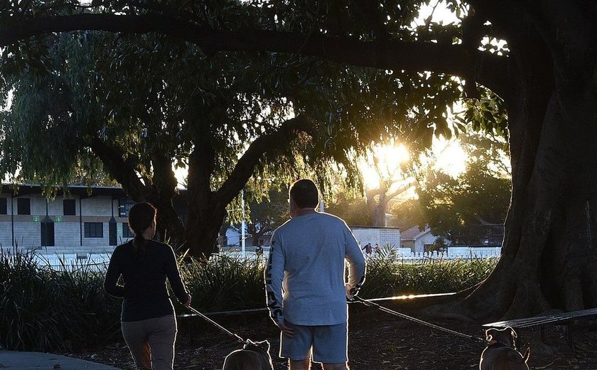 Aumenta número de fraturas em idosos que passeiam com cães, diz estudo
