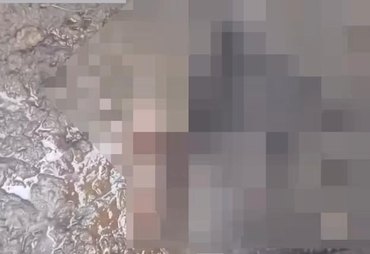Seis ovelhas são encontradas mortas  na zona rural e caso intriga moradores de Atalaia