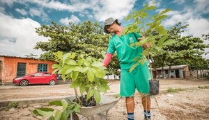 Prefitura de Maceió alerta para furtos de plantas em espaços públicos