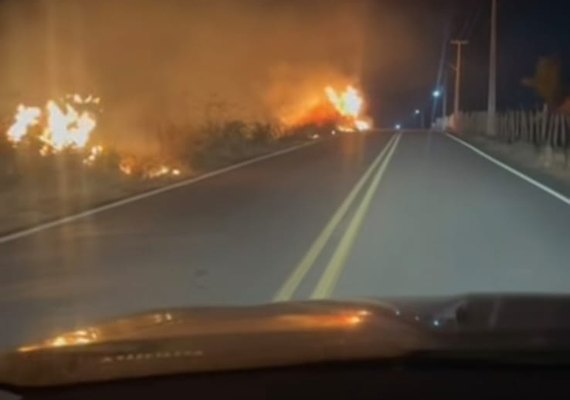 Incêndio às margens da AL-210 assusta motoristas na noite de segunda-feira (19)