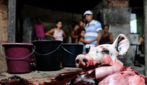 FPI interdita matadouro clandestino em Santana