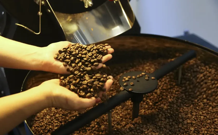 Preço do café cai pela primeira vez depois de 18 meses, diz IBGE