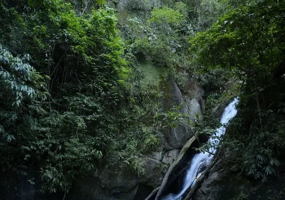 Parques nacionais batem recorde de público no Brasil em 2023