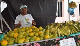 Coqueiro Seco recebe 2ª edição da Feira Agrária do Crédito Fundiário