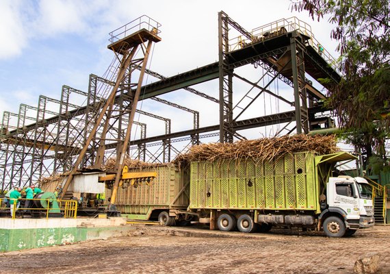 Copervales bate recorde de moagem de cana-de-açúcar pelo quinto ano consecutivo