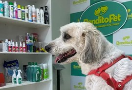 Crescimento do mercado pet amplia oportunidades de negócio em Alagoas