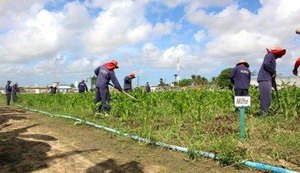 Disciplina, educação e trabalho ampliam horizontes de reeducandos em Alagoas