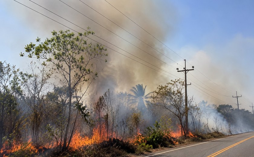 Equatorial Alagoas alerta para 177 ocorrências relacionadas a queimadas próximas à rede elétrica em 2026