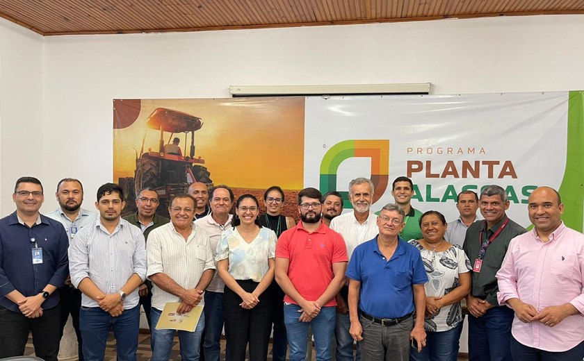 Alagoas possui mais de 20 mil estabelecimentos produzindo mandioca