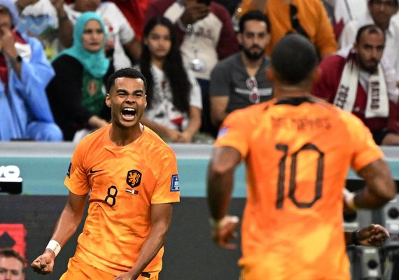 Holanda supera Catar por 2x0 e avança como primeiro lugar do Grupo A