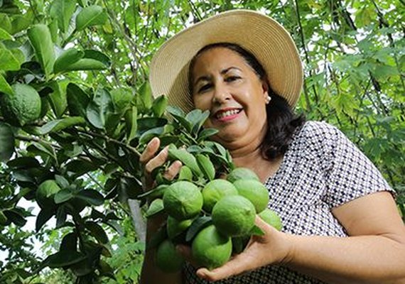 Cooperativas são importantes para mulheres do campo, mas poucas têm poder de decisão