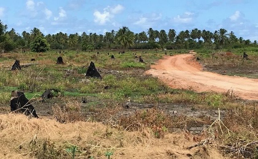 Instituto do Meio Ambiente interdita loteamento em São Miguel dos Milagres