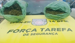 PM apreende em Joaquim Gomes 20 kg de maconha em porta-malas de carro