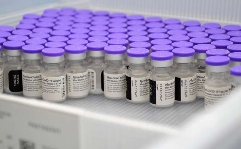 Alagoas recebe 54.990 doses da vacina Pfizer nesta quarta-feira (22)