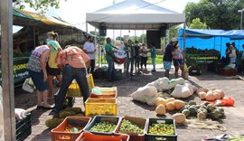 Feira Camponesa Itinerante compõe a programação da XVIII Campanha Anual de Promoção do Produto Orgânico