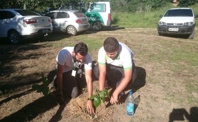 Nos três primeiros dias de FPI, IMA realiza o plantio de mais de 650 mudas