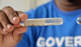 Ministério da Saúde aponta queda de 58% nos casos de dengue em Alagoas