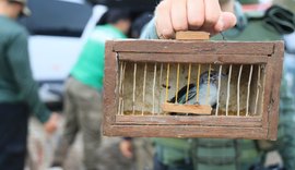 FPI do Rio São Francisco resgata 26 animais silvestres vítimas de maus tratos em feira livre