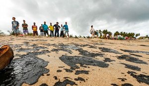 Manchas de óleo: ações do governo federal são tardias, dizem deputados