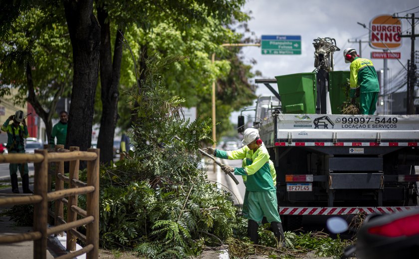 Prefeitura de Maceió intensifica poda de árvores em avenidas da capital