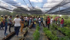 Estudantes de Geografia da Ufal realizam trabalho de campo no Semiárido