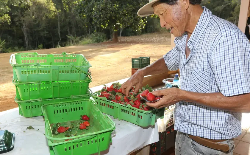 Finep vai pagar R$ 220 milhões para inovações em agricultura familiar