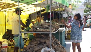 Semarh promove quarta edição da Feira Orgânica nesta terça-feira (7)