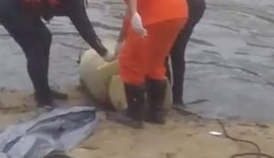 Corpo enrolado em um colchão é retirado do Rio Mundaú, em Murici