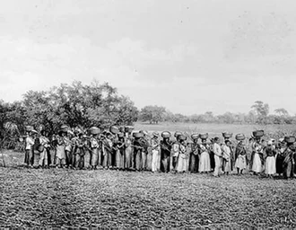 Maioria de empresários que apoiou ditadura vem de famílias escravistas