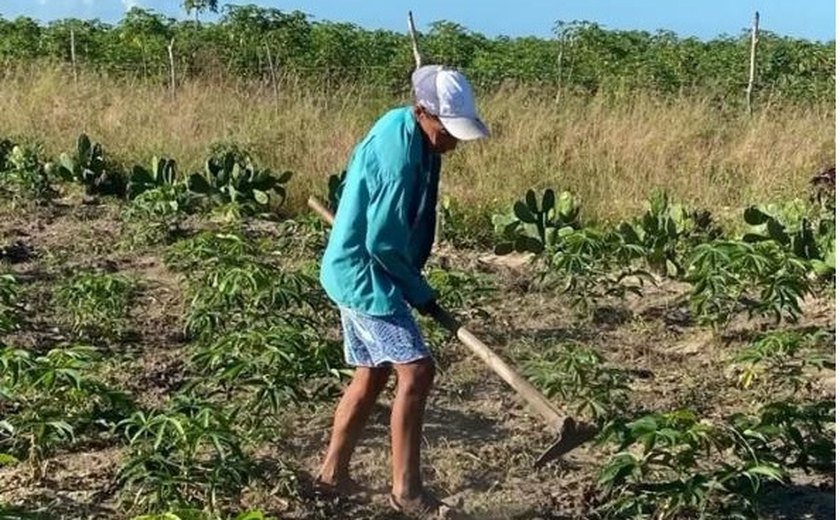 Associação Terra Forte se destaca na produção agrícola entre os municípios de São Sebastião e Junqueiro