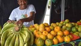 Feira Agrária do Crédito Fundiário exalta produção agrícola quilombola