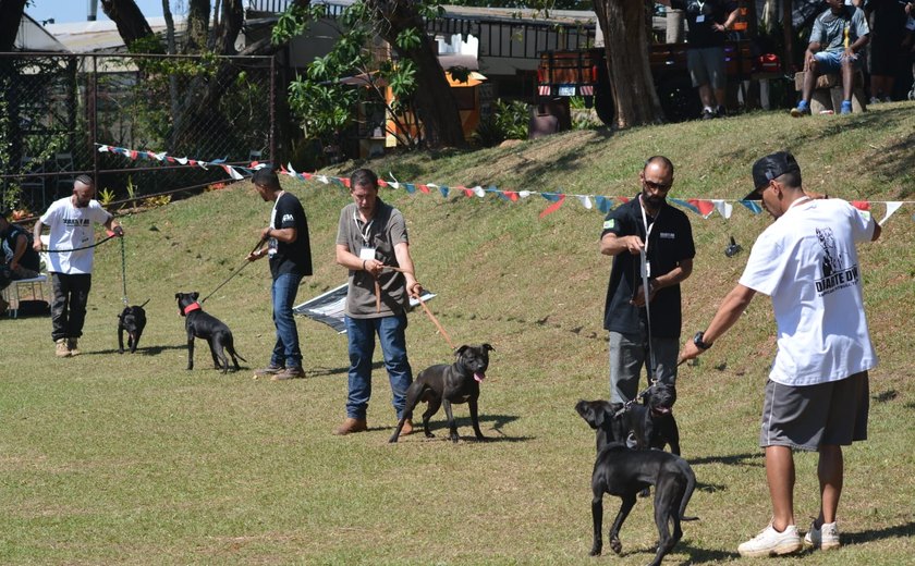 ABRAPIT realizou grande evento de exposição de cães da raça American Pit Bull Terrier em SP