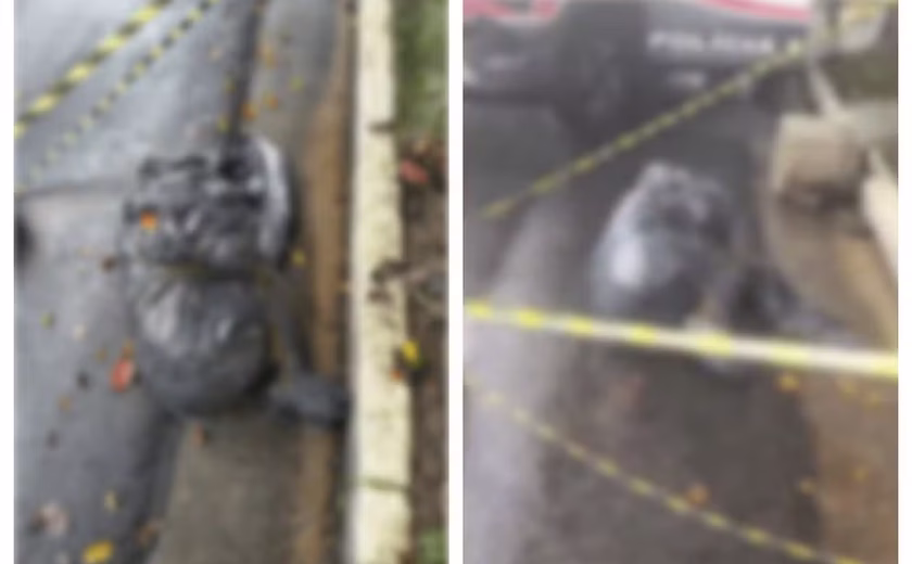 Polícia apura série de mortes suspeitas de execução em SP; corpos foram ensacados, decapitados ou queimados