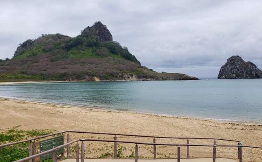 Fernando de Noronha: Praia do Sueste é interditada após criança ser atacada por tubarão