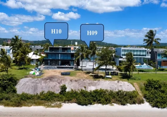 MPF move ação contra empresária por danos ambientais em área de mangue em Marechal Deodoro