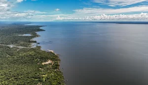 Veja os planos de governo de Flávio Bolsonaro e Lula para meio ambiente e clima