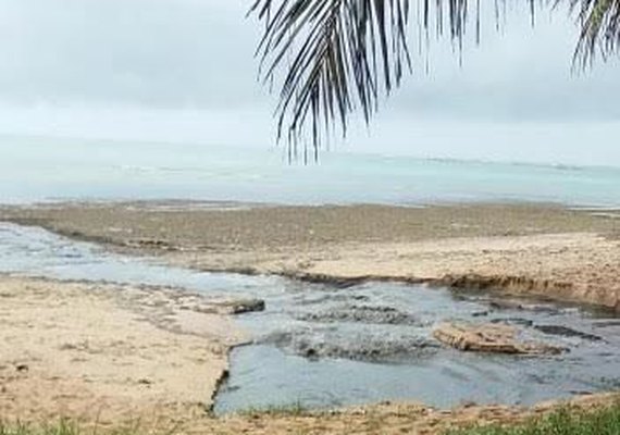 IMA notifica Prefeitura de Maceió e Casal por causa de línguas sujas em praias