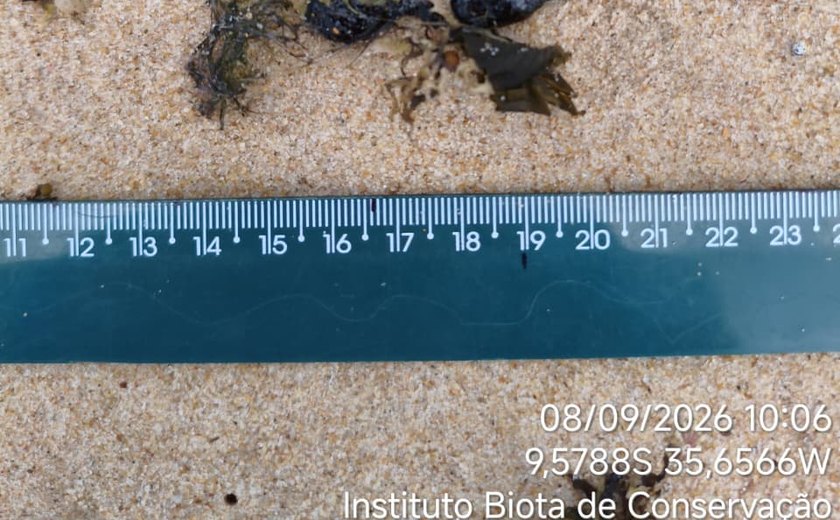 Manchas de óleo são encontradas entre praias de Riacho Doce e Guaxuma nesta terça-feira (8)