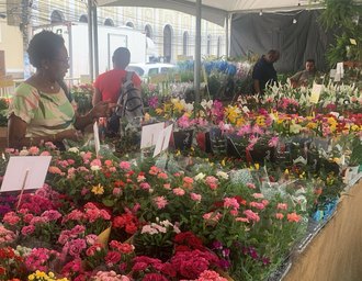 Maceió recebe o colorido e o perfume da Feira de Flores de Holambra na Praça Dom Pedro