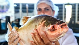 Seagri promove Feira do Peixe Vivo em Marechal Deodoro