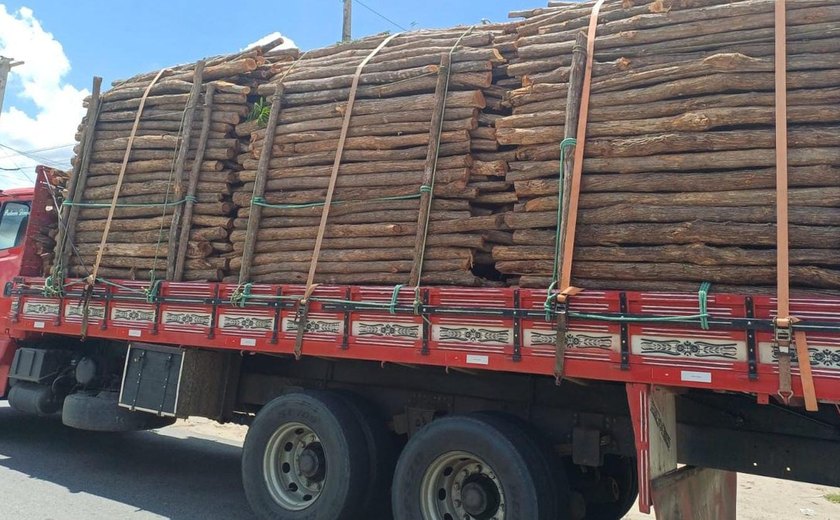 PRF flagra madeira irregular, carga sem nota e Arla adulterado que tinha como destino o estado de AL