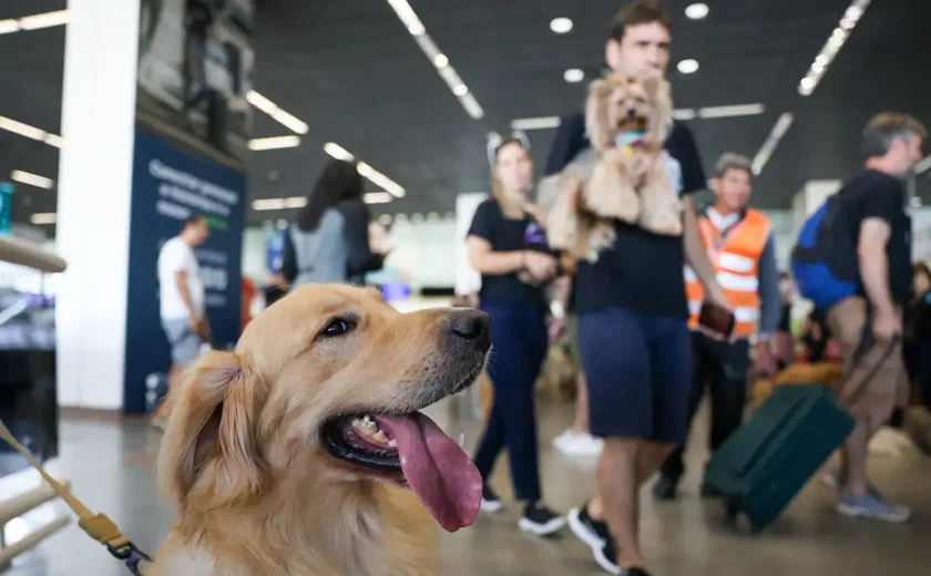 Convívio com animais traz benefícios à saúde física e mental do tutor