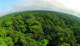 OCB reforça aplicação do Código Florestal para todo território brasileiro