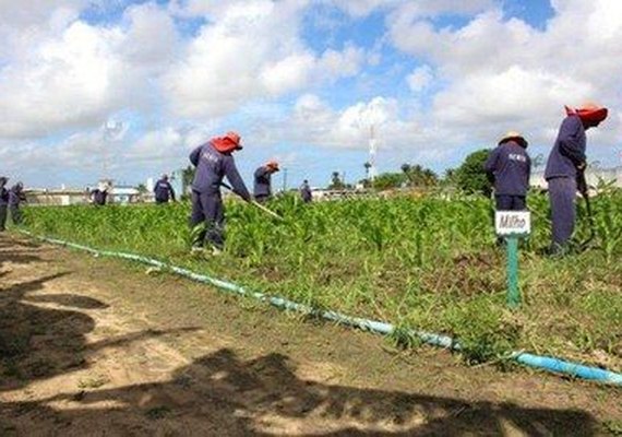 Disciplina, educação e trabalho ampliam horizontes de reeducandos em Alagoas