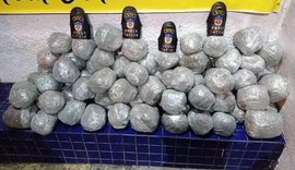 Polícia Militar apreende mais de 80 quilos de maconha após receber denúncia