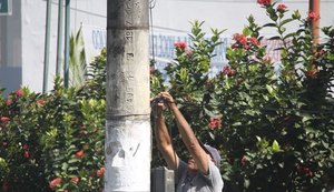 Alagoas registra 21 mortes por acidentes elétricos em 2018