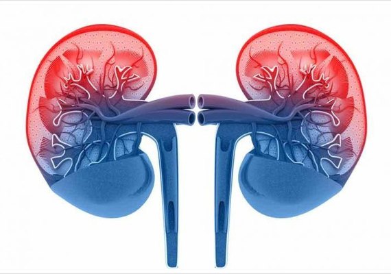 SMS abre inscrições para curso sobre cuidados com pacientes renais